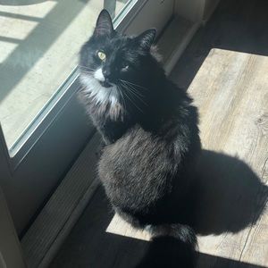 Meet your Posher, Maia